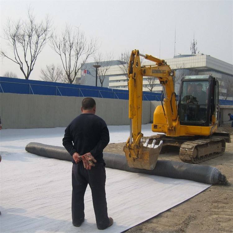 嘉海垃圾填埋場(chǎng)防水毯