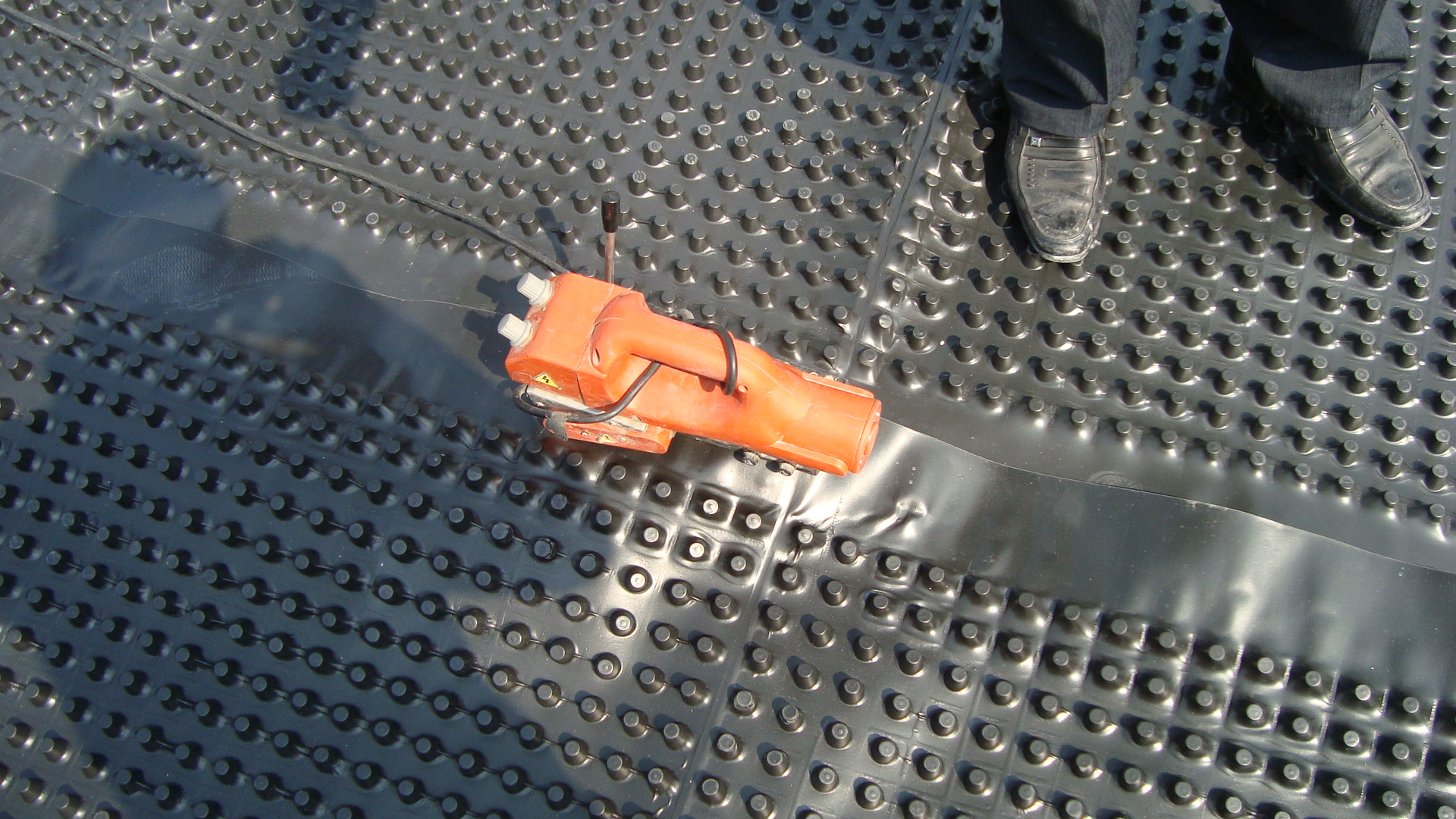 1601860144184276.jpg DSC03963.JPG