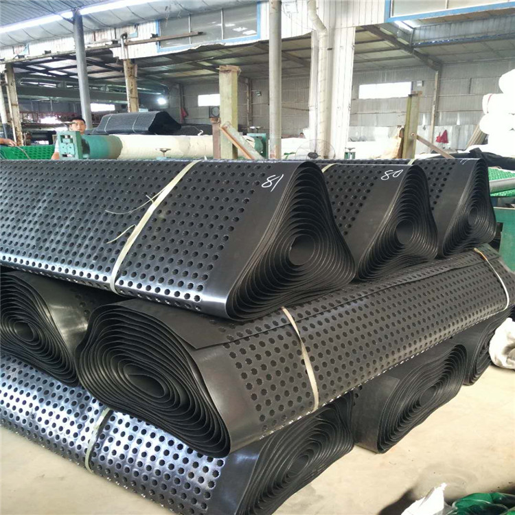 高凹凸型達標排水板 嘉海廠家直供